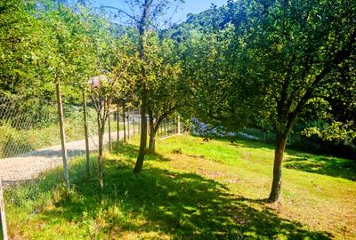 CASA si 2393 mp TEREN INTRAVILAN, Muntii Apuseni, NEGRENI - CLUJ la 1 km de E60 - 19