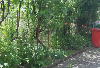 Casă cu 3 camere în Central