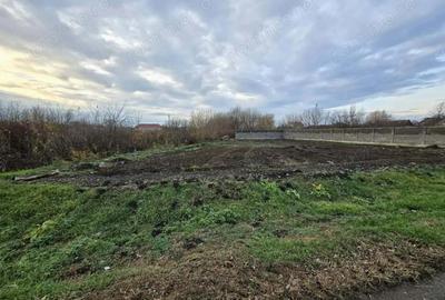 Teren de 600 mp, în Șimand - 3