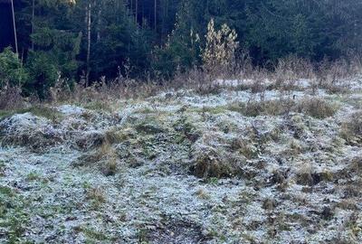 Spațiu comercial, în Mănăstirea Humorului - 4