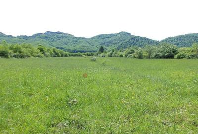 Teren Intravilan - Pretabil Investitie - 4