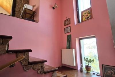 Casa spatioasa Traian - 17