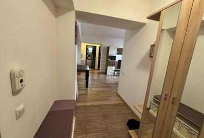 Apartament cu 2 camere semidecomandat, mobilat în Craiovița Nouă - 11