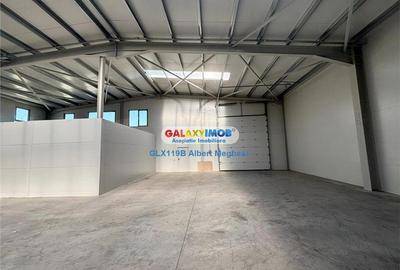 Inchiriere hala depozitare Parc Industrial TBM Rudeni Inchiriere hala depozitare Parc Industrial TBM Rudeni - 3