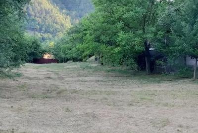 PROPRIETAR !!! Vand Casa in Zlatna - 5