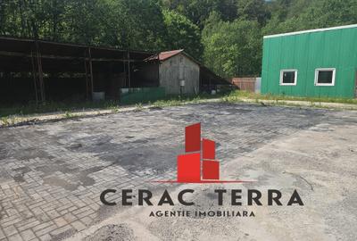 TEREN - Platfoma 2910 mp  in Predeal strada Valea Rasnoavei DN # Ceracterra - 3