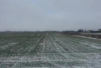 Teren de 5000 mp, în Șag - 1