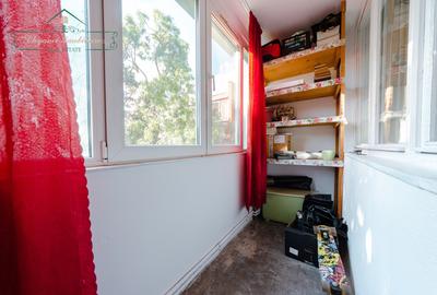 Apartament cu 2 camere de inchiriat, zona Podgoria, Arad - 8