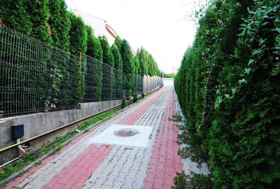 Bucium - Pleiada, locuinta P+M, disponibila imediat! Bun venit acasa! - 3