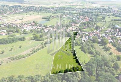 Teren Intravilan | 7.850 mp | Turia - 2