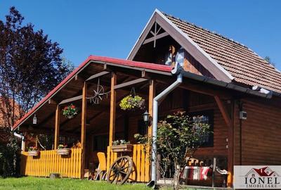 Vanzare casa in Ciugud - Seusa - 10