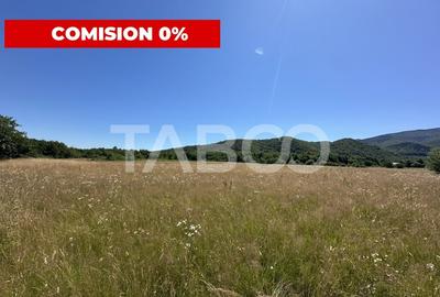 Teren extravilan 1900 mp cu utilitati in apropiere pe Valea Sebesului - 1