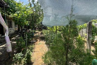 Casă cu 5 camere cu Teren 468 Mp în Central - 13