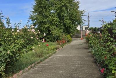 Vila ta in mijlocul naturii | Caciulesti, dotari moderne - 10