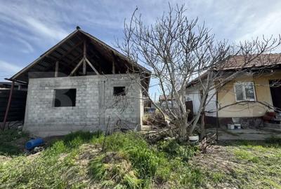 Casă cu 4 camere cu Teren 1397 Mp în Brestei - 6