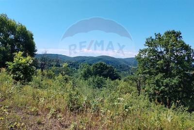 Teren 3,871mp Varmaga / None - 13