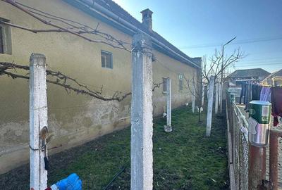 Casă cu 6 camere cu Teren 1498 Mp în Variaș - 7