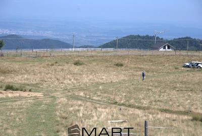 Teren de 1500 mp, în Paltin - 4