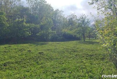 Teren Breaza 4400 mp - 2