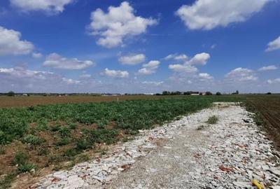 Balotesti 2 loturi de 1400mp, 2 loturi a cate 750mp - 6