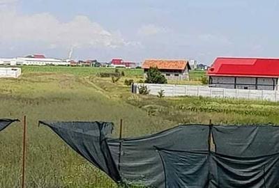 Teren de 900 mp, în Gării - 3