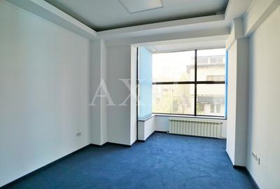 Birouri 136 mp  - Primaverii - 6