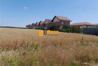 CHITILA, DRUM NATIONAL 7 SABARENI, PADURE - 1