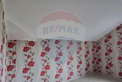 Casa la gri P+M cu anexa - oportunitate unica in Chisineu-Cris! - 22