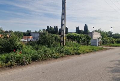 Vanzare  teren str. Nicolae Titulescu  27.748 mp, - 3