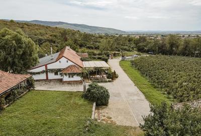 Proprietate istorică , crama +vie DOC + distilerie +loc. evenimente+ 20000 vin - 3