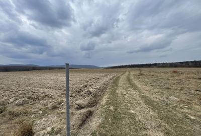 Teren agricol extravilan de 2300 mp, în Horodnic de Sus - 9
