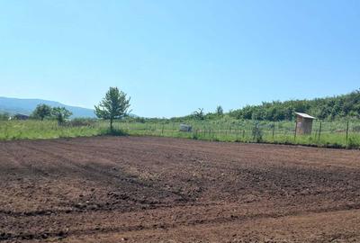 Teren de 1000 mp, în Jelna - 4