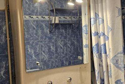 Garsonieră în Tudor - 3