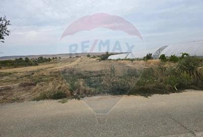 Teren intravilan 5000 mp Isalnita - 2