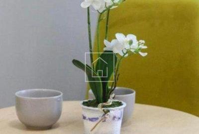 Apartament cu 6 camere în Ultracentral - 8