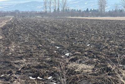 Spațiu comercial, în Dancu - 1