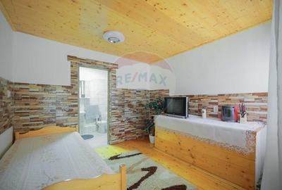 Casa si teren de 1397 mp de vanzare in Ineu, la 18 km de Oradea - 29