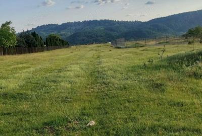 Teren de 8842 mp, în Exterior Vest - 1