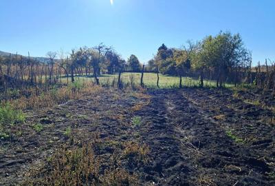 TEREN INTRAVILAN ȘI EXTRAVILAN POLOVRAGI-RACOVIȚA - 2