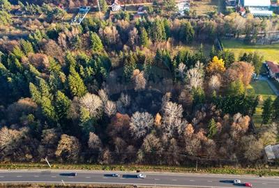 Teren Construcții intravilan de 10000 mp, în Timișu de Jos - 2