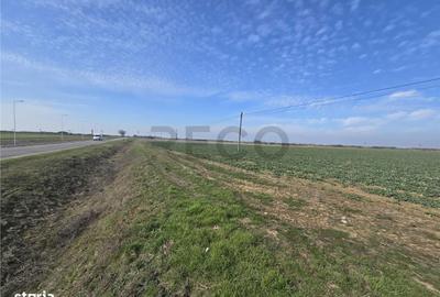 Spațiu comercial, în Nojorid - 4