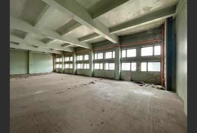 Cladire comerciala cu 4 etaje de inchiriat Resita - 3