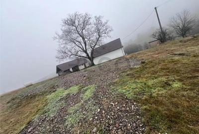 Casă cu 3 camere cu Teren 21984 Mp în Făgetu - 16