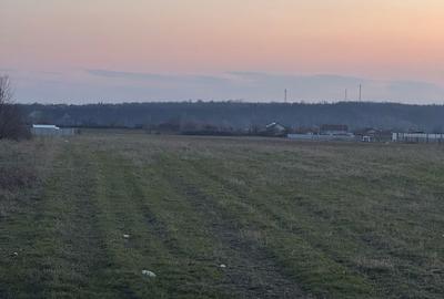 Spațiu comercial, în Șimian - 4