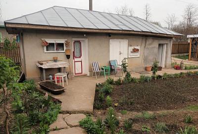 Casă cu 3 camere în Ulmu