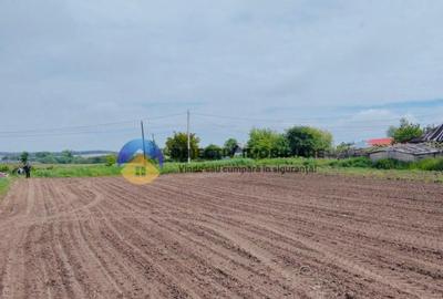 Teren- Com. Stefan cel Mare- jud. Neamt - 11