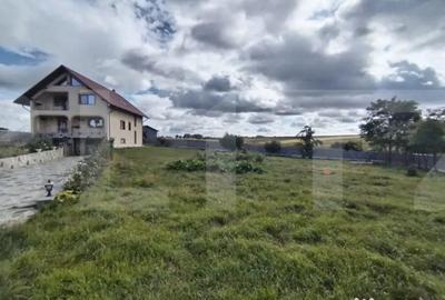 Casă cu 3 camere cu Teren 2300 Mp în Central - 2