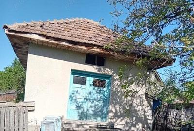 De vanzare casa la Romanesti comuna Rosiile - 2