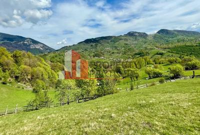 Teren in sat Pestera, comuna Moeciu. - 5