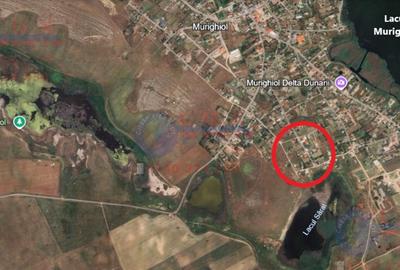 ID 7858 TEREN DE VANZARE MURIGHIOL, DELTA DUNARII - 6